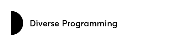 Diverse Programming