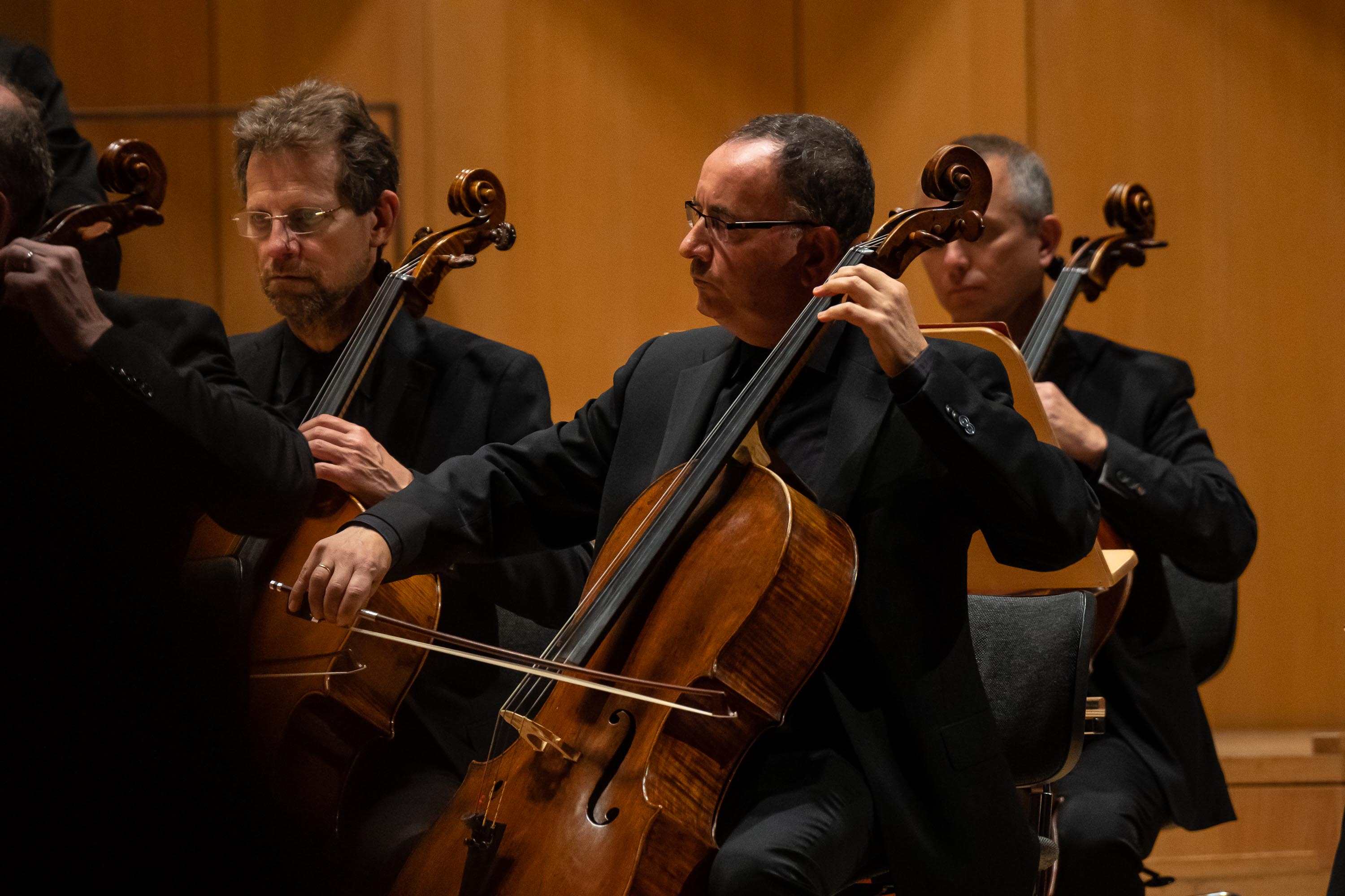 Cellists Robert Cafaro and Ohad Bar-David during the Chausson
