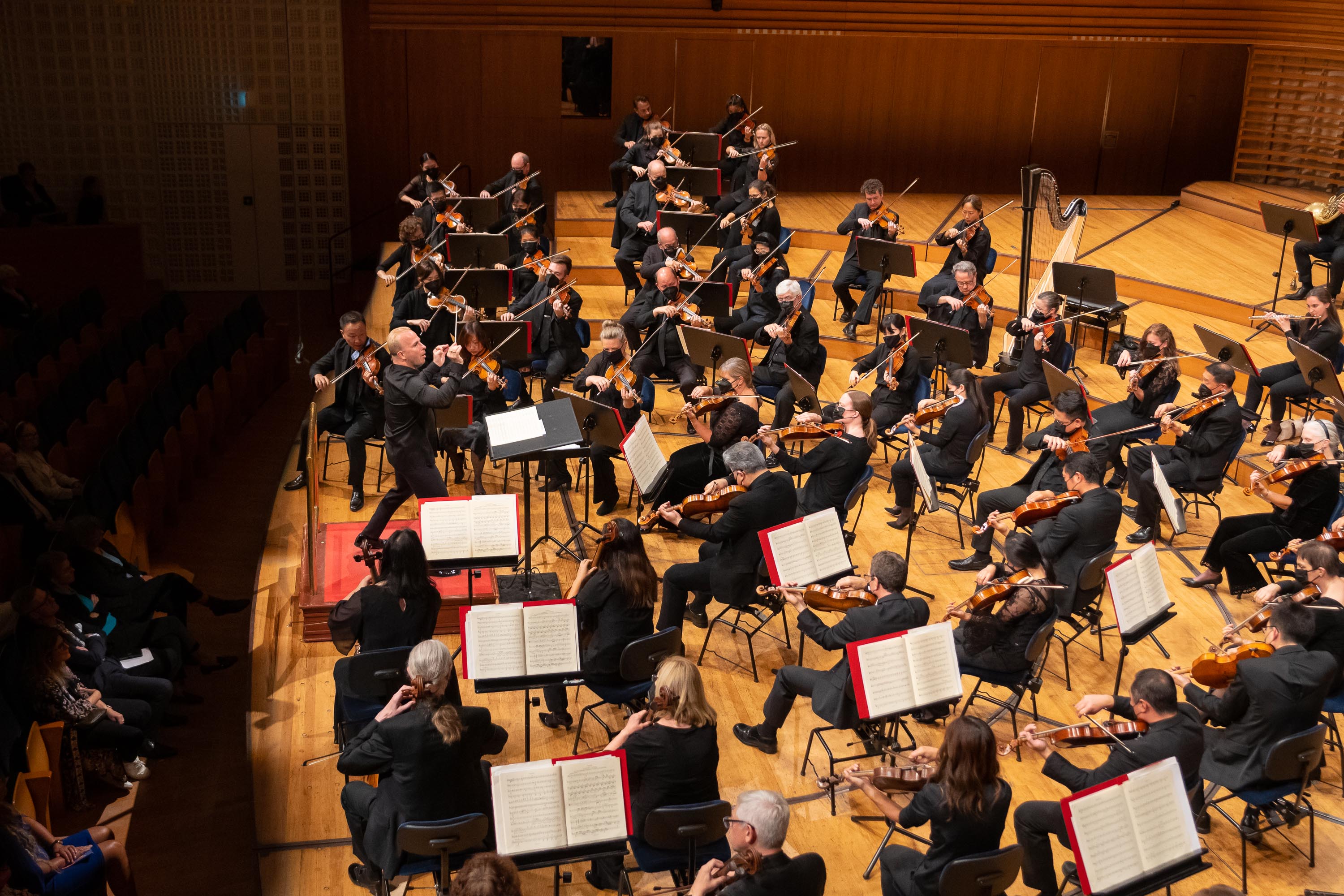 The Symphony partly reflects the political struggles of Dvořák’s Czech countrymen